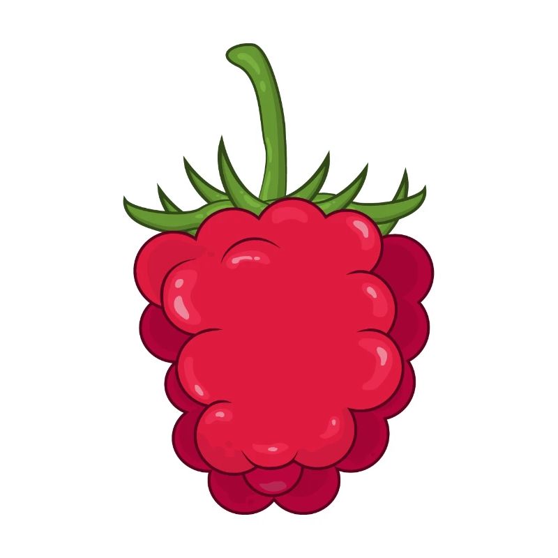 raspberry