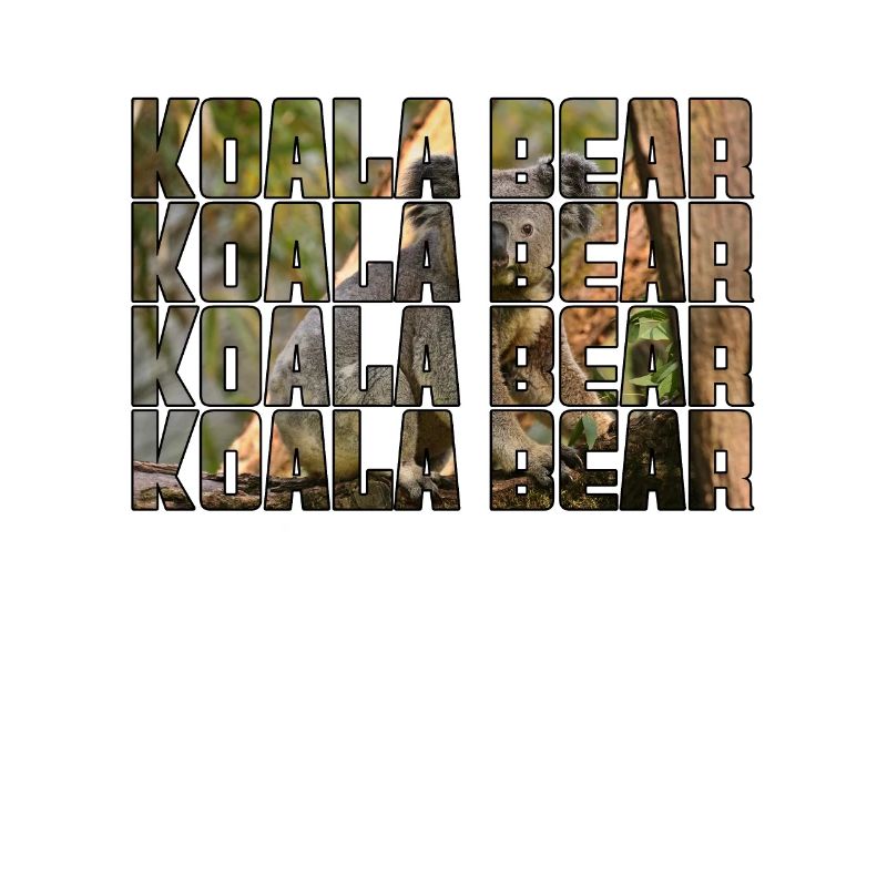 Koala Bear