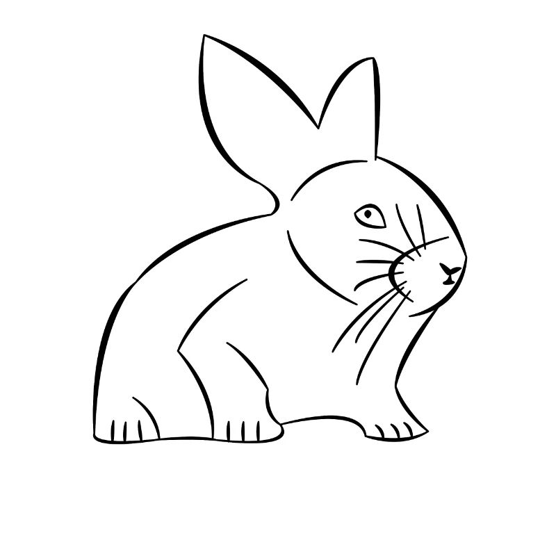 Rabbit drawn