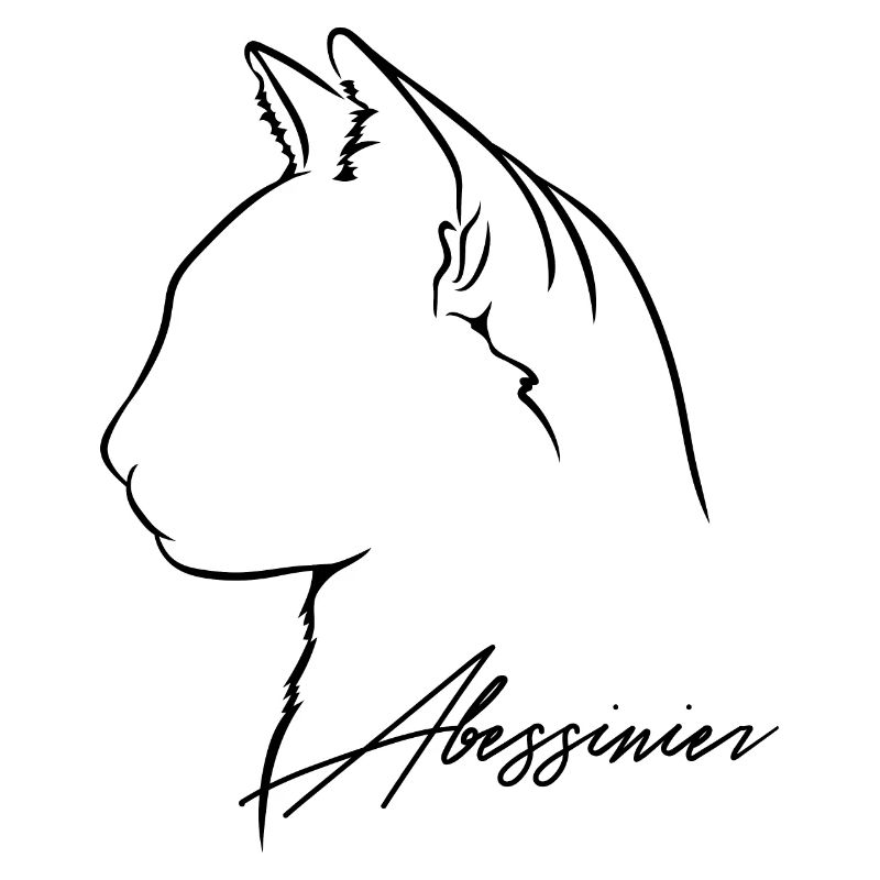 Abessinier Profil Katzen Katze Wilsigns