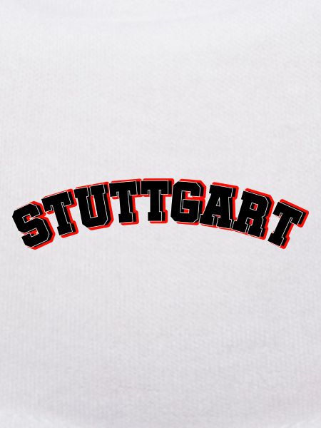 Stuttgart Schwabenstadt Team