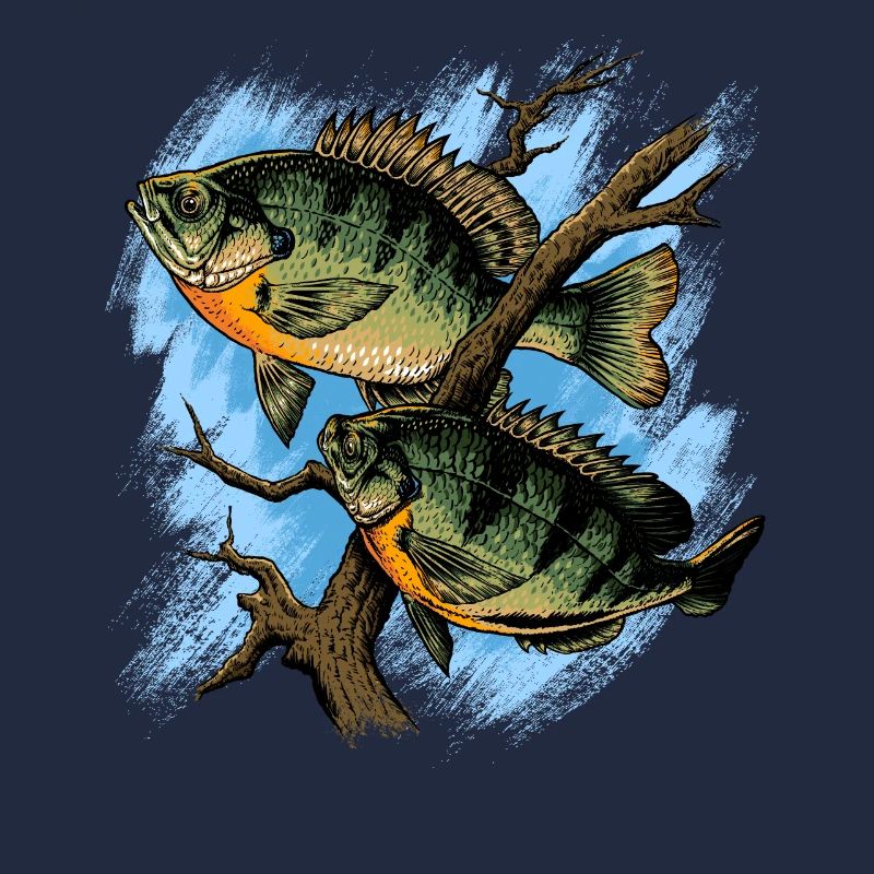 Crapet Arlequin Illustration Pêche Pullover conception