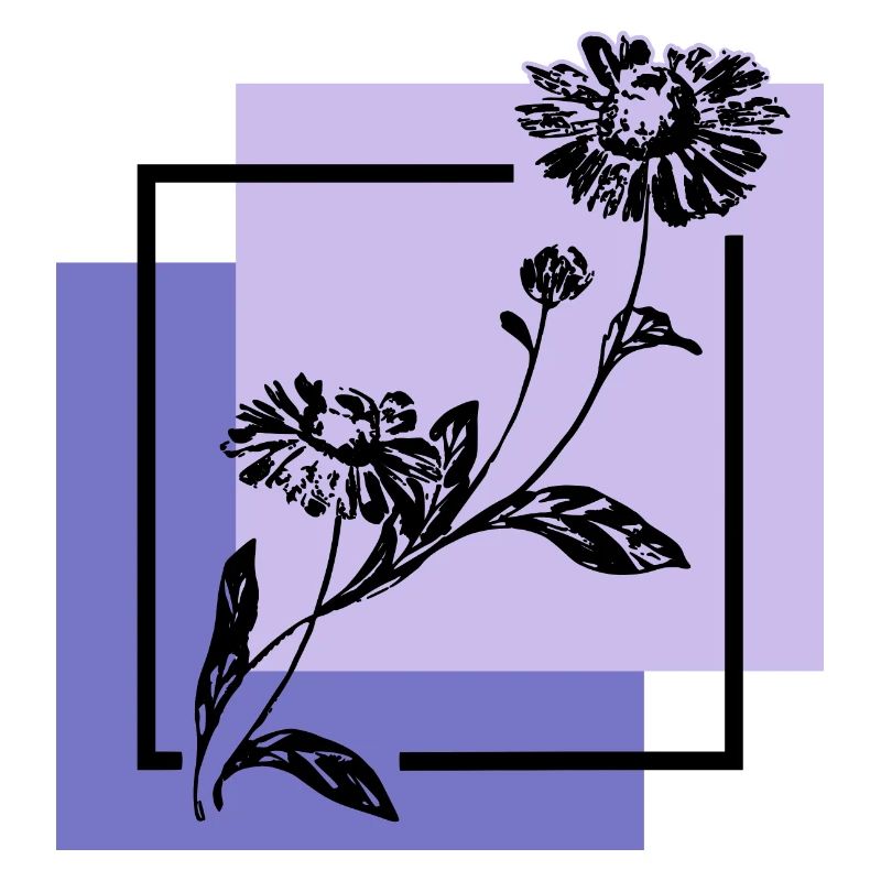 Blume