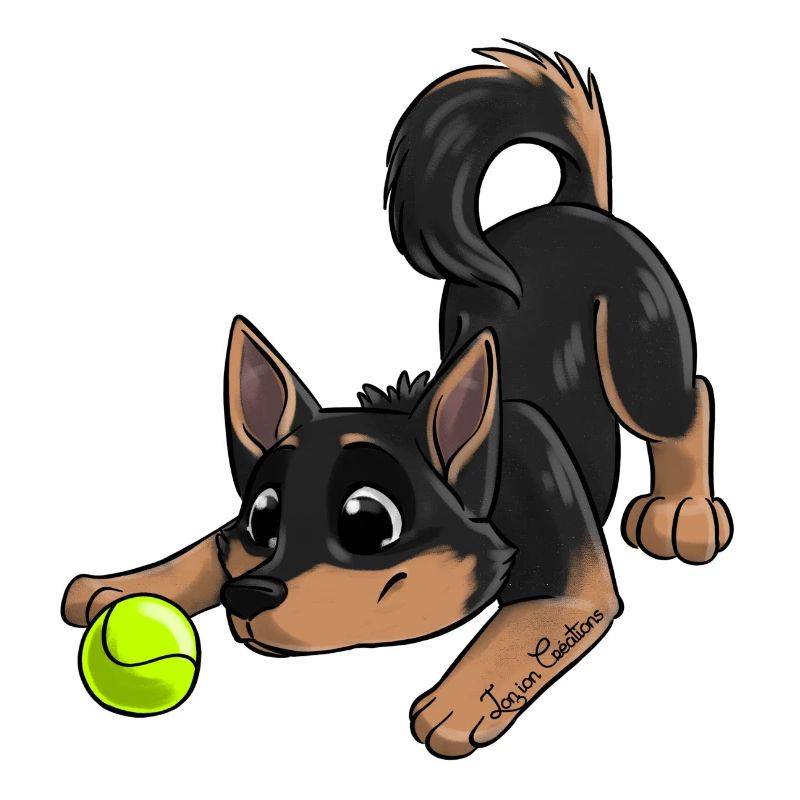 Le plus mignon Kelpie