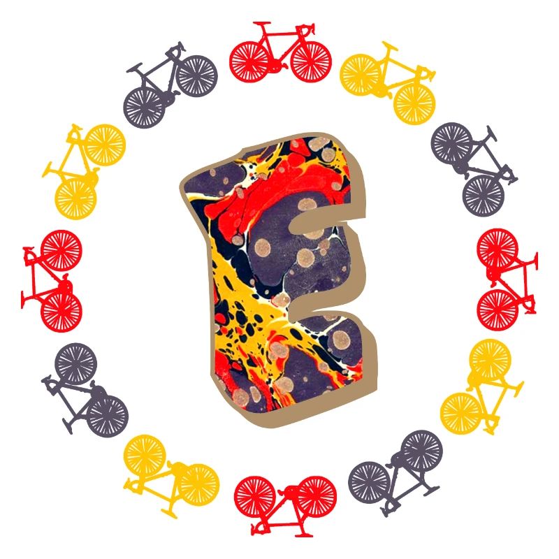 Bicycle E 202 E