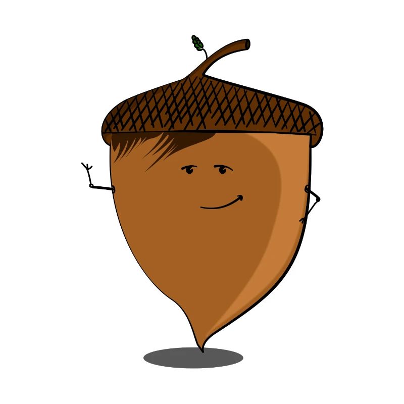 Hazelnut Hazelnut Tree Hazelnut Shrub Cake