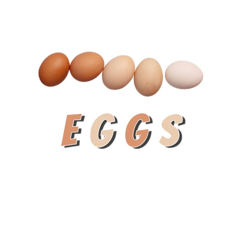 eggs