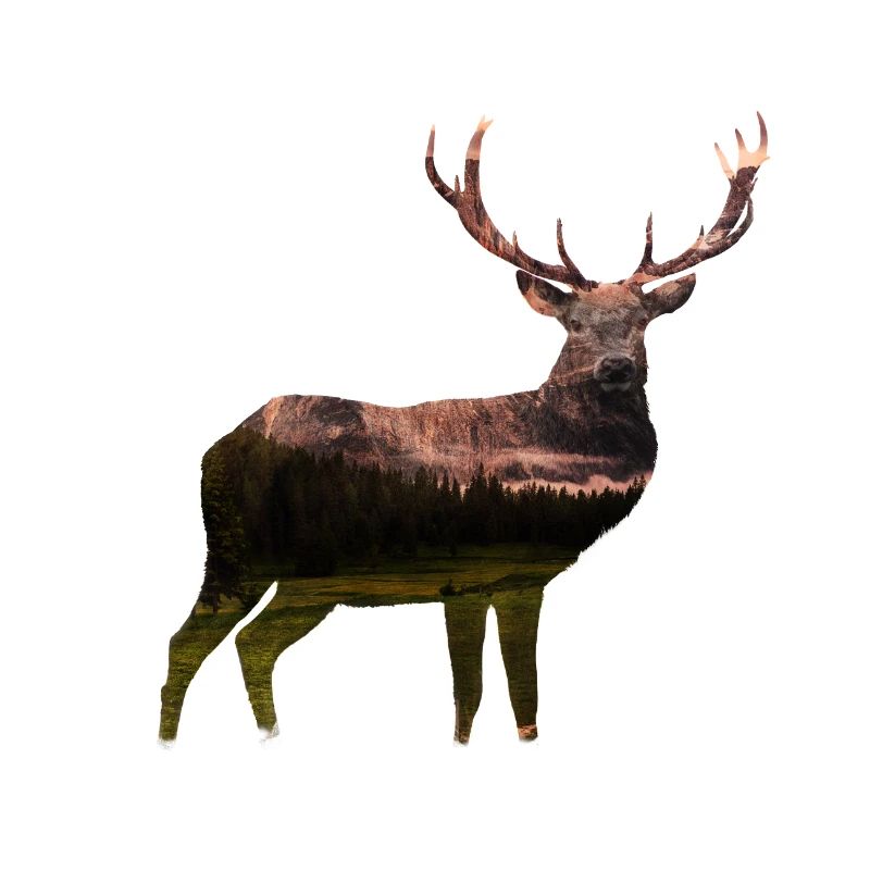 Dolomit Hirsch