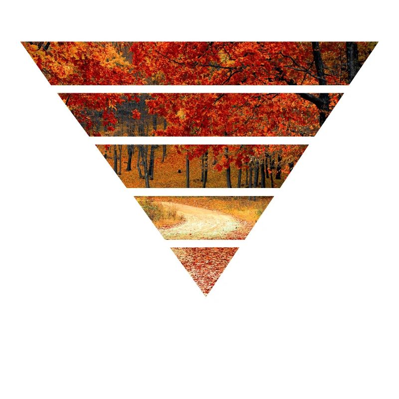 Herbstwald