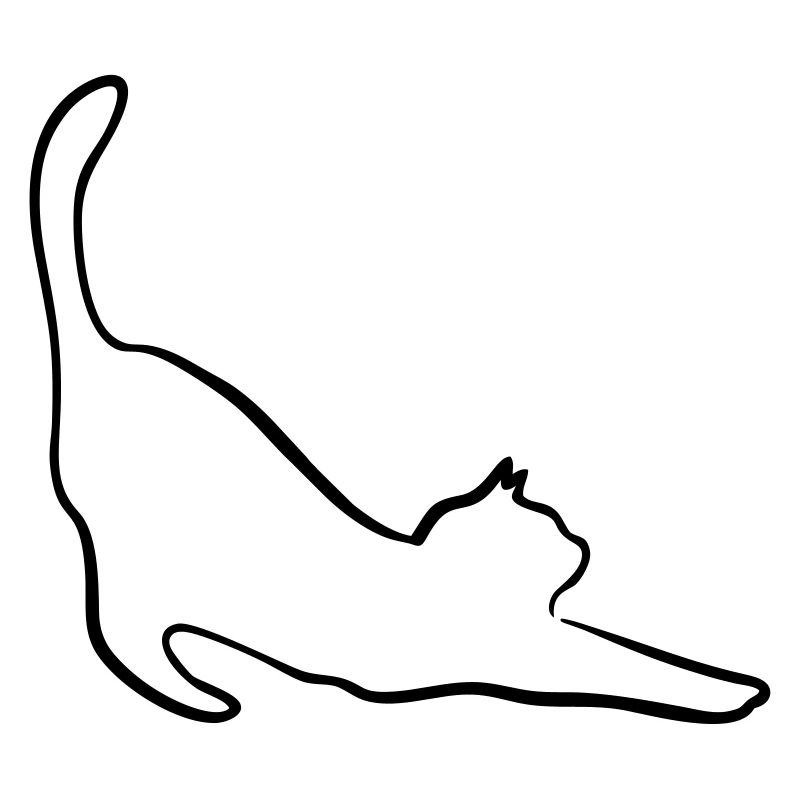 Katze