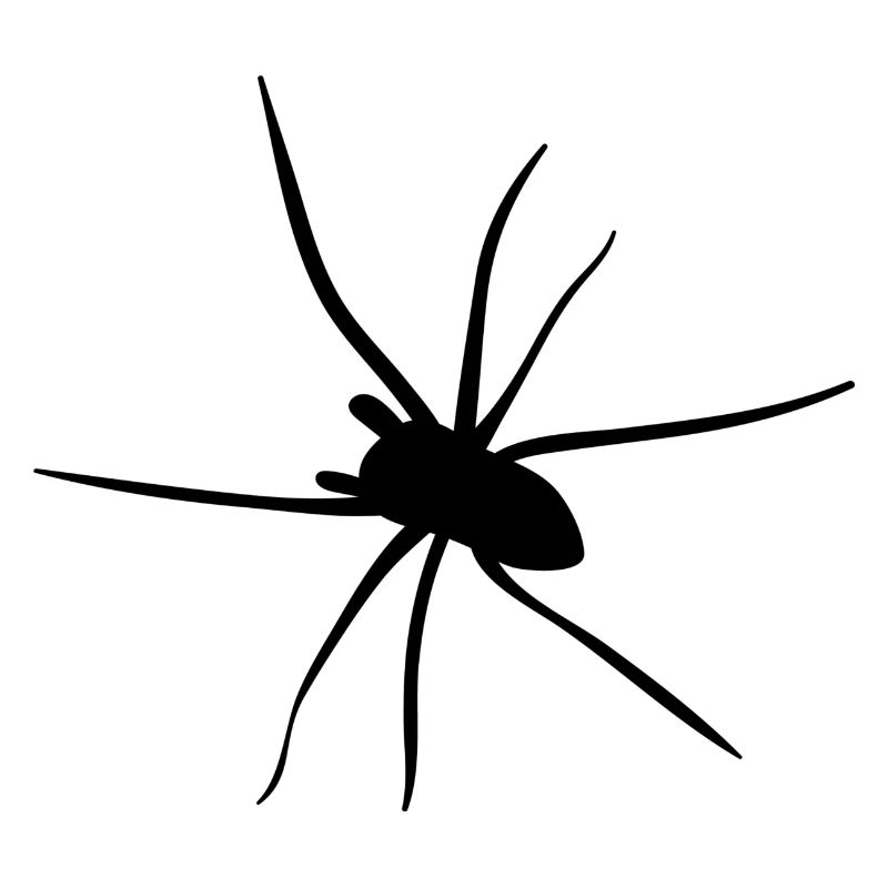 Spider Insect Walgelijk Giftig Gift Idee