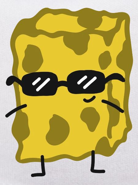 Sponge Household Funny