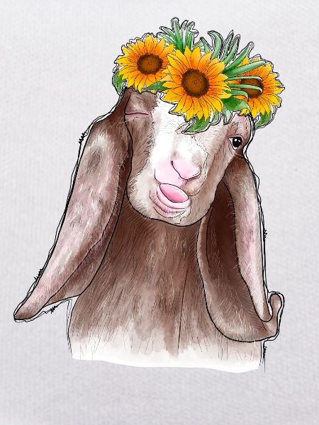 Ziege Sonnenblume