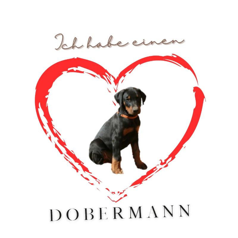 Dobermann unkupiert. Ich habe einen Dobermann