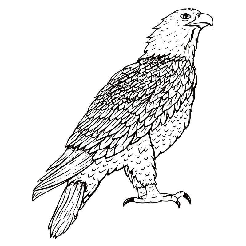 eagle