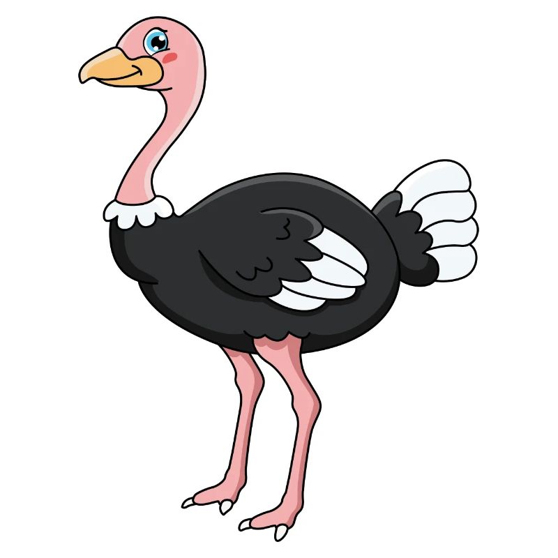 autruche