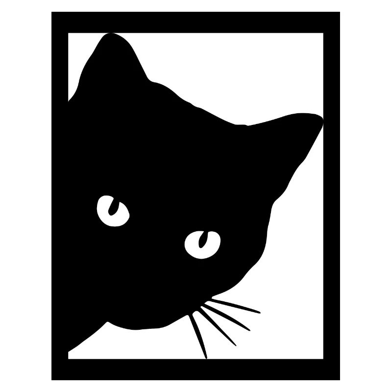 Chat Katze