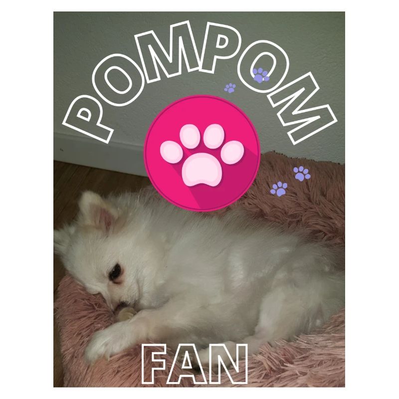 Pom Pom 1