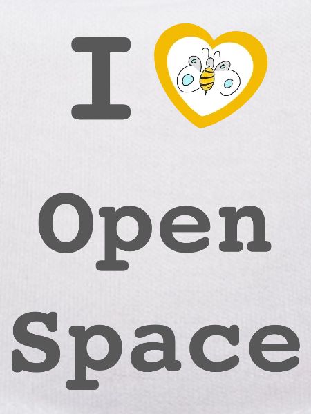 I love Open Space
