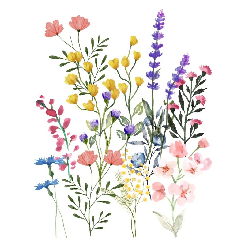 Sommerwiese
