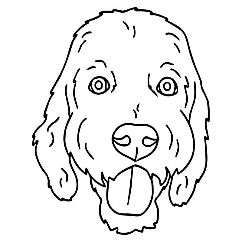 Hund