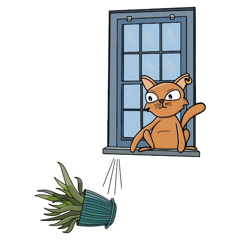 It's Always the Orange Cat