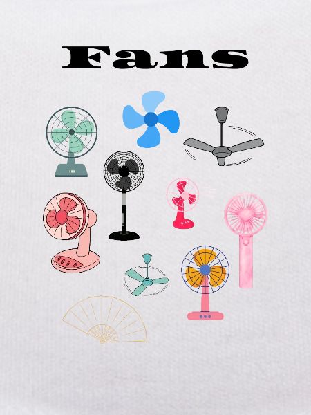 A selection of fans