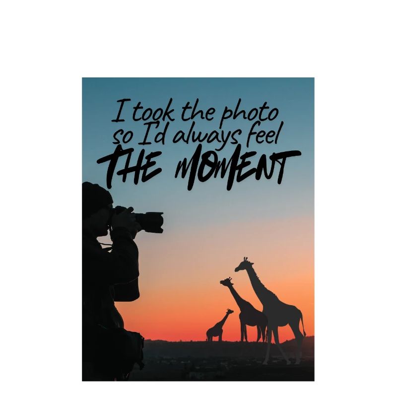 Sunset Safari