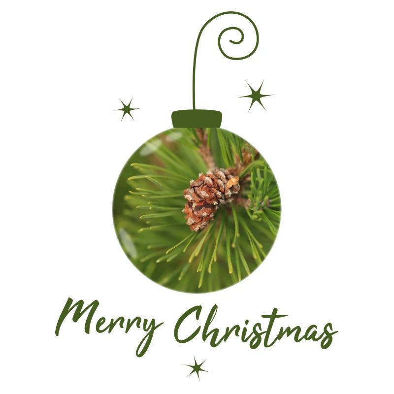 Grüne Weihnachtskugel mit Tannenzapfen