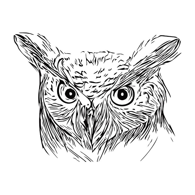 Eule - Uhu - Vogel