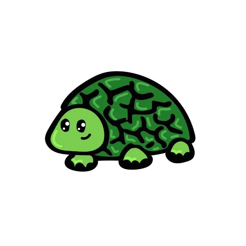 Tortue