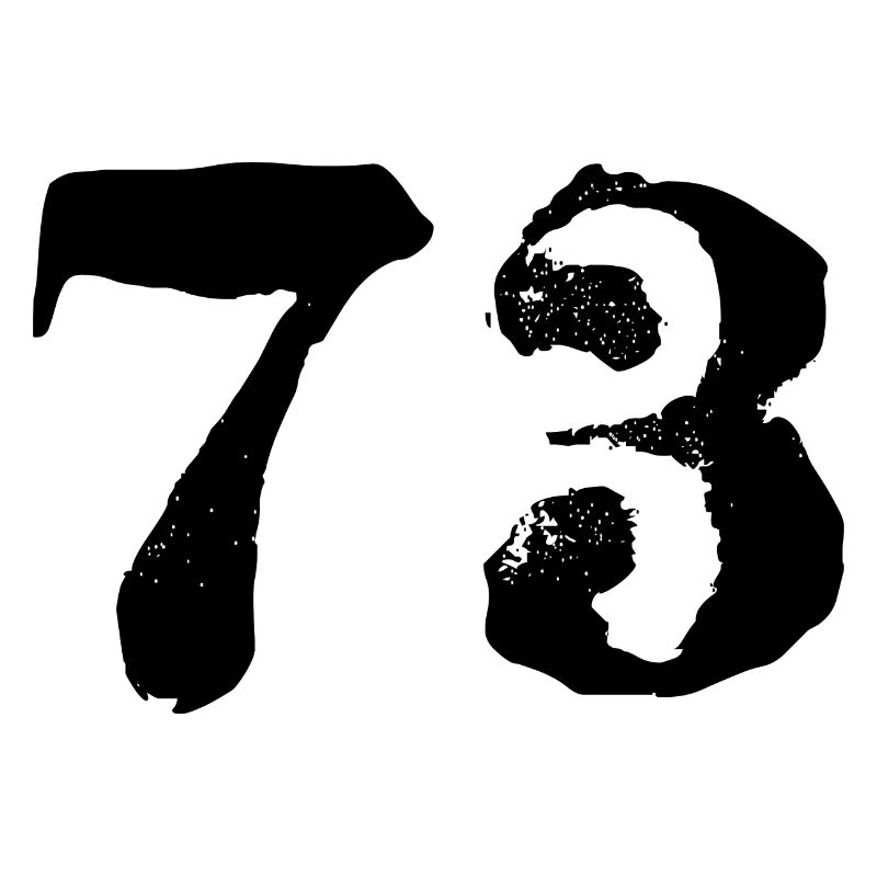 Maillot à 73 numéros