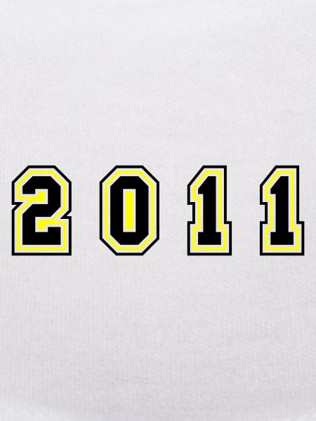2011 Year Number