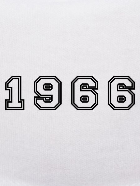 1966 Year Number
