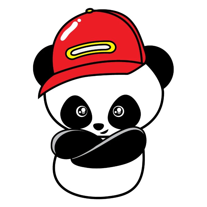 Cool hip hop panda
