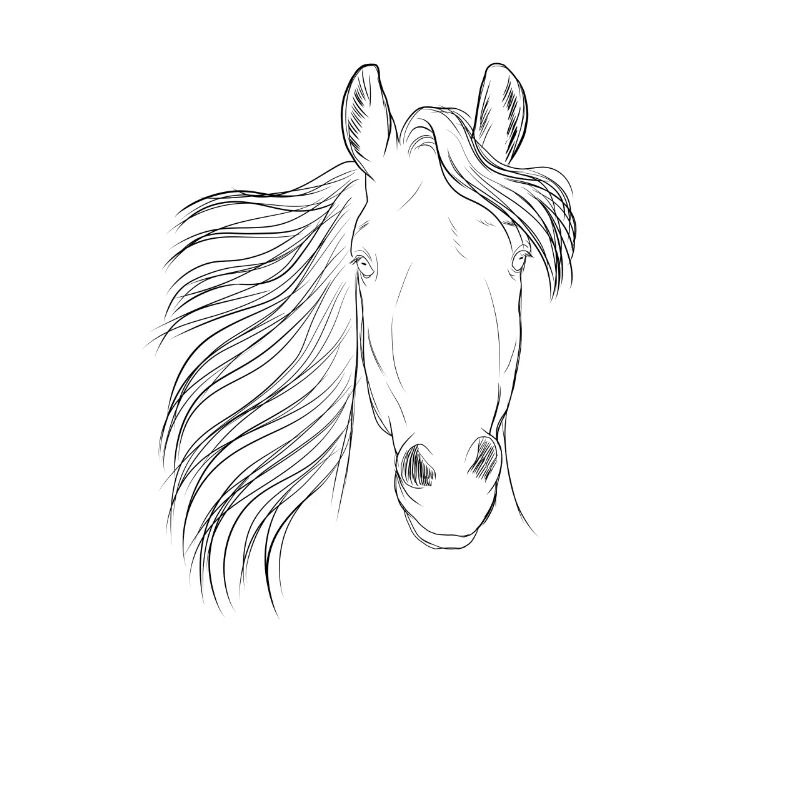 Pferd