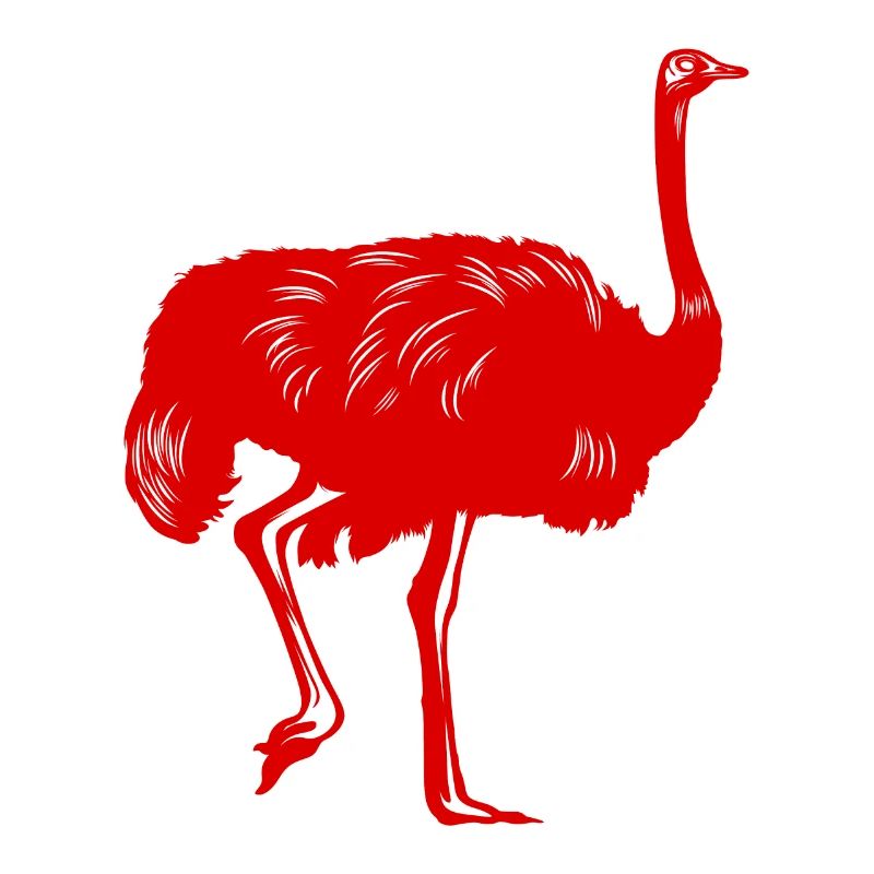 Ostrich Bird Silhouette