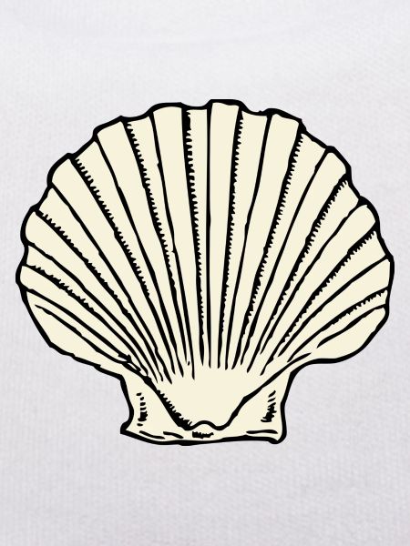 mussel64
