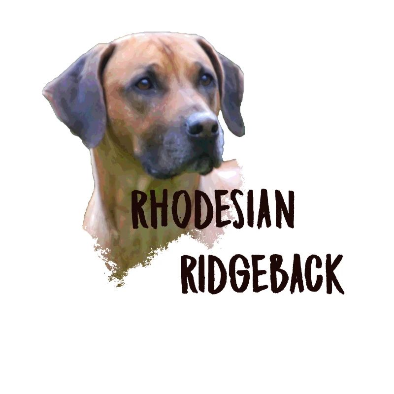 Rhodesian Ridgeback
