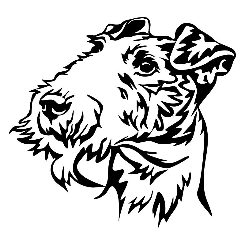 Fox terrier head