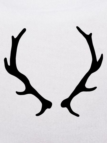 Geweih Jagd Wild