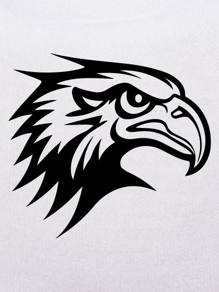 eagle ungry fly 01