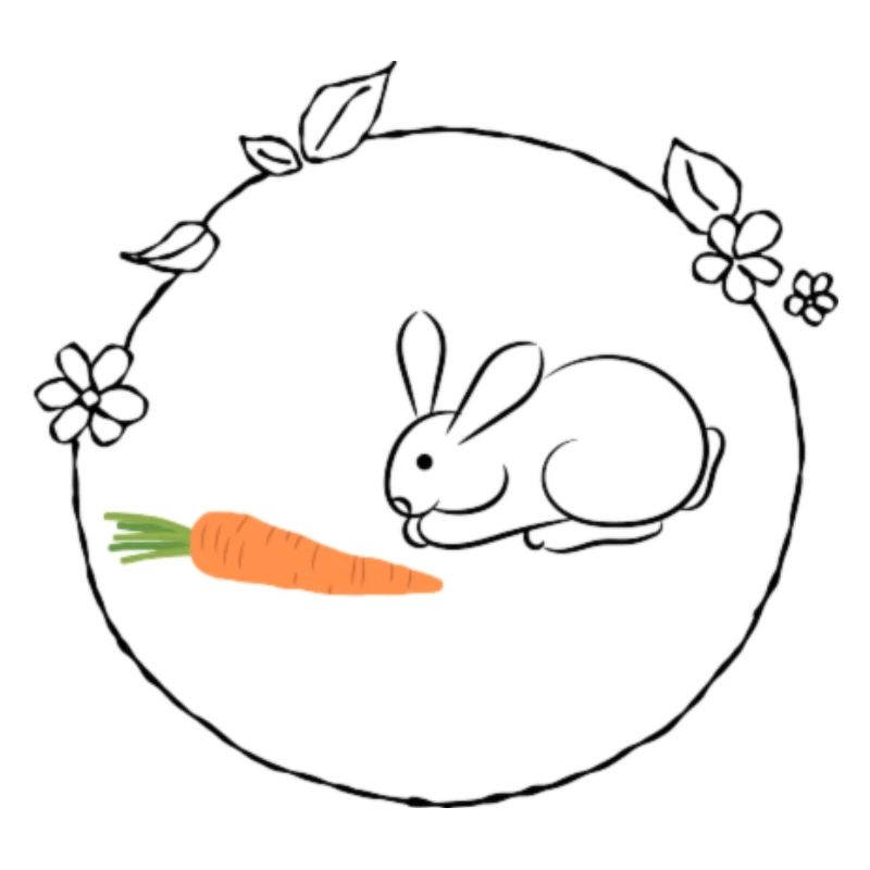 Bunny with carrot Easter gift