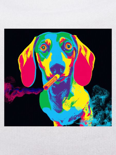 Smoking Dachshund