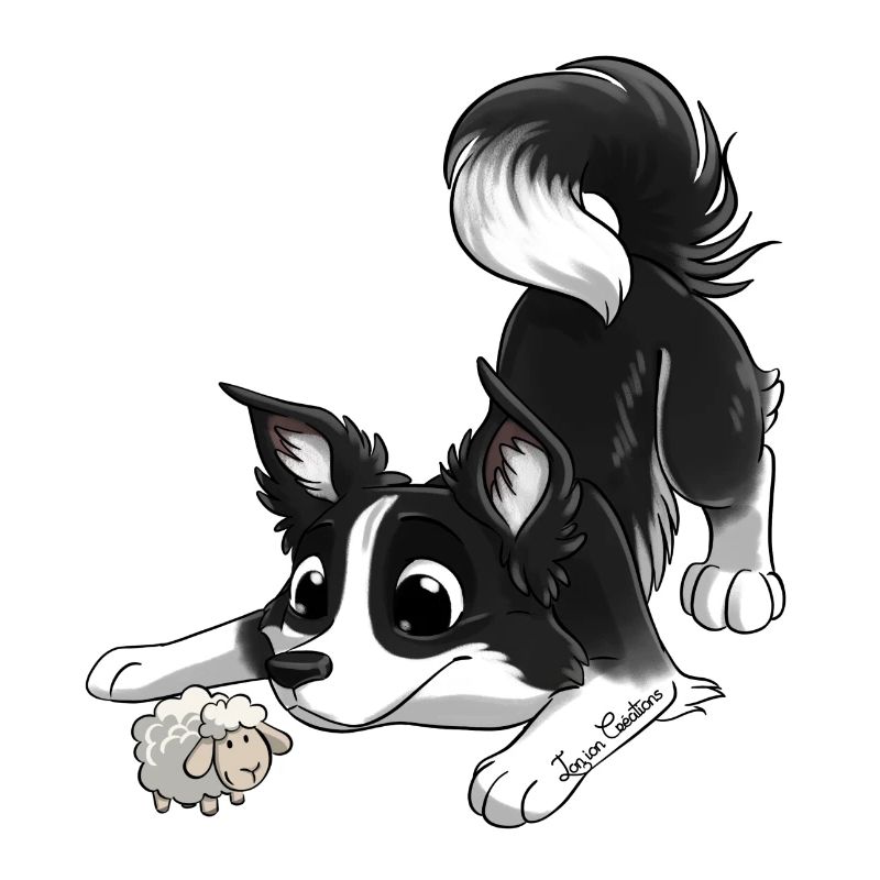 Le plus mignon Border