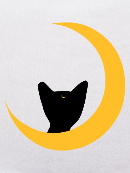 moon cat