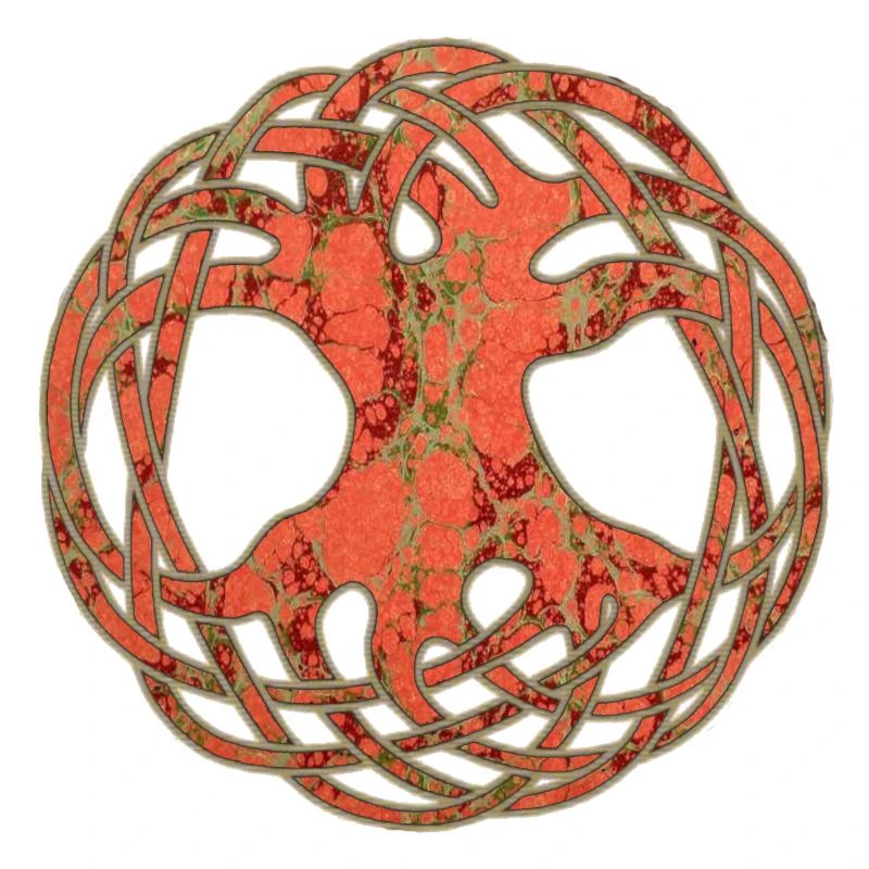 Celtic Arborvitae E 213