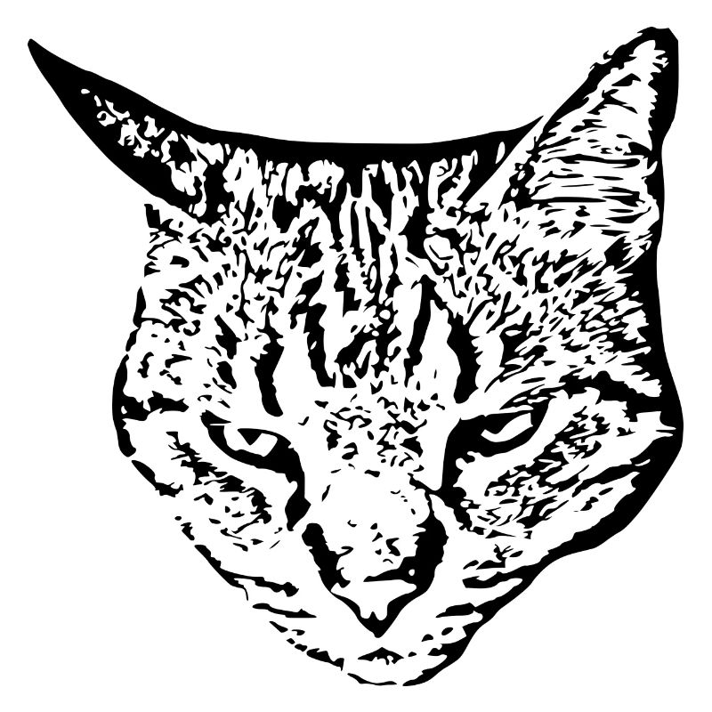 Chat Tête de chat noir