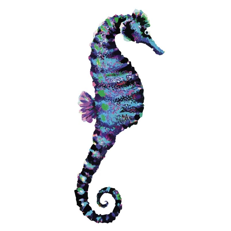 Seepferdchen