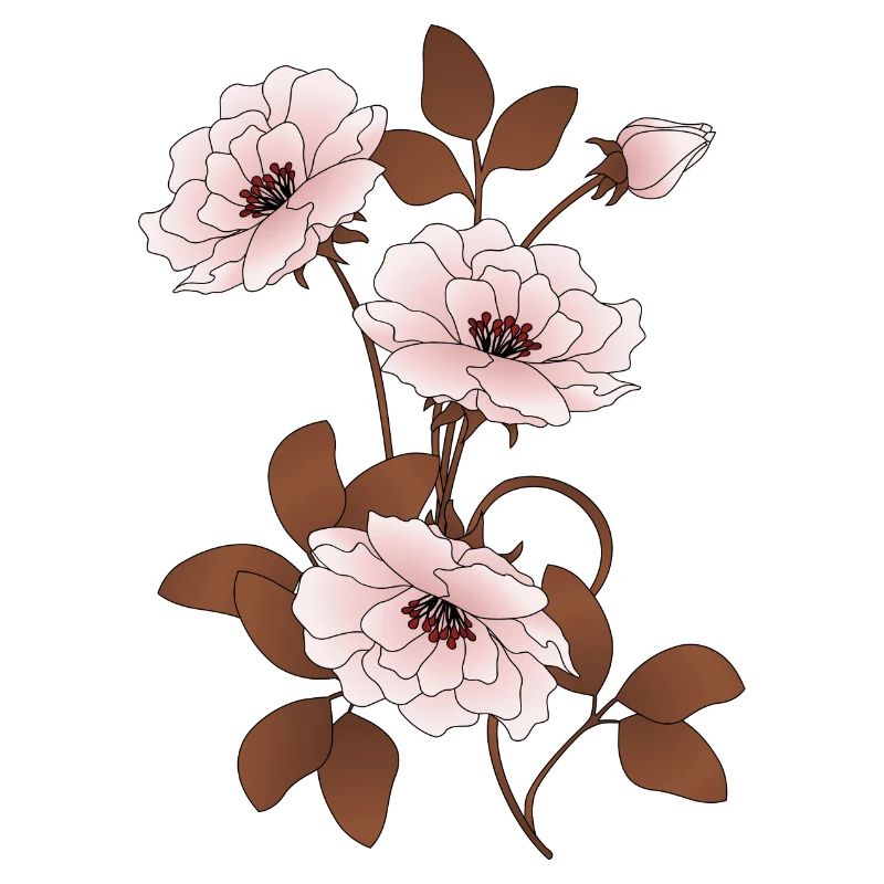 Fleurs